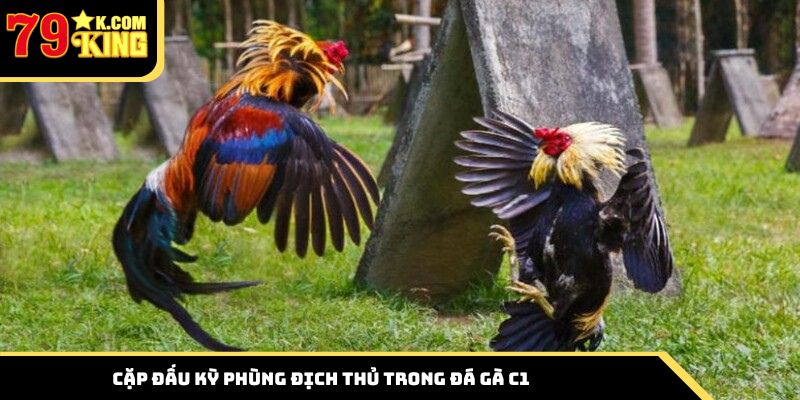 Cặp đấu kỳ phùng địch thủ trong đá gà C1