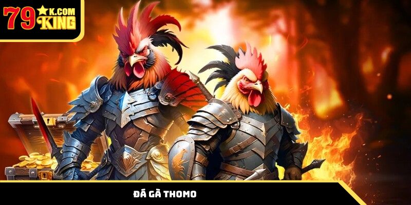Đá gà Thomo