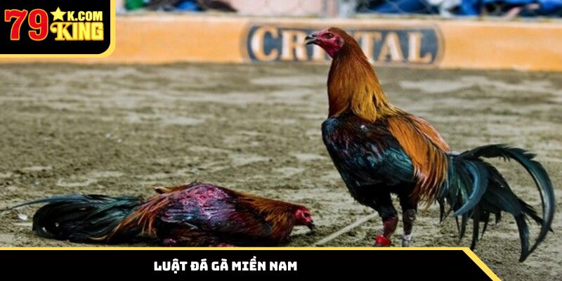 Luật đá gà miền Nam