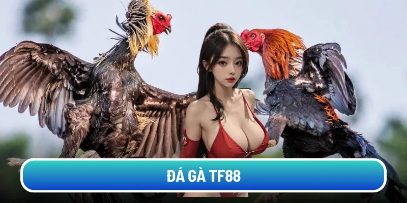 da-ga-tf88