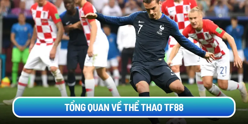 Tổng quan về thể thao TF88